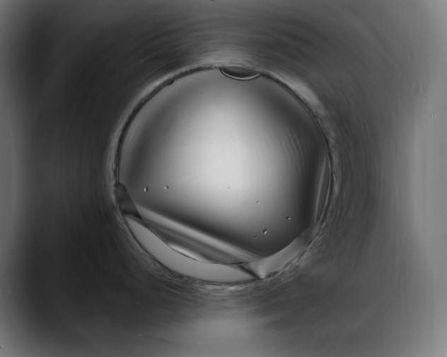 X0000088041248200705251255