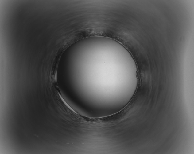 X0000088041250200705251255
