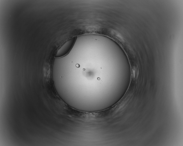 X0000088041251200705251255