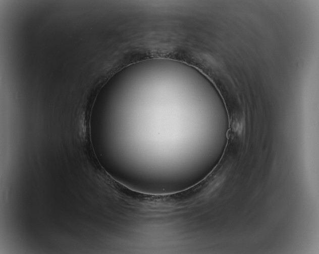 X0000088041252200705251255