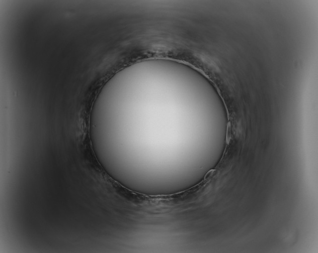 X0000088041253200705251255