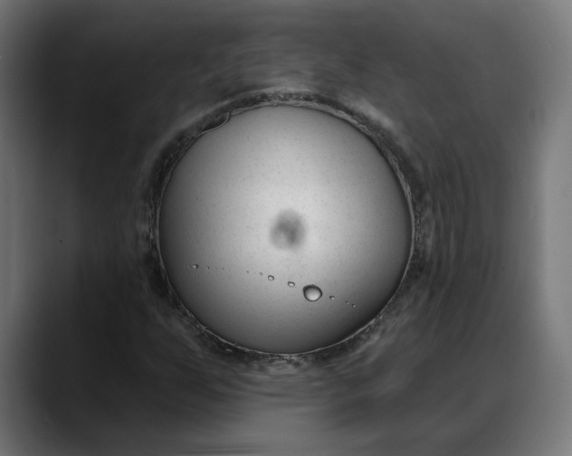 X0000088041255200705251255