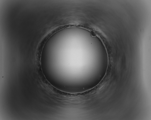 X0000088041256200705251255