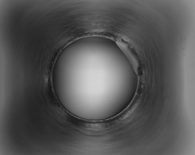 X0000088041257200705251255