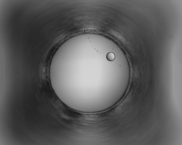 X0000088041258200705251255