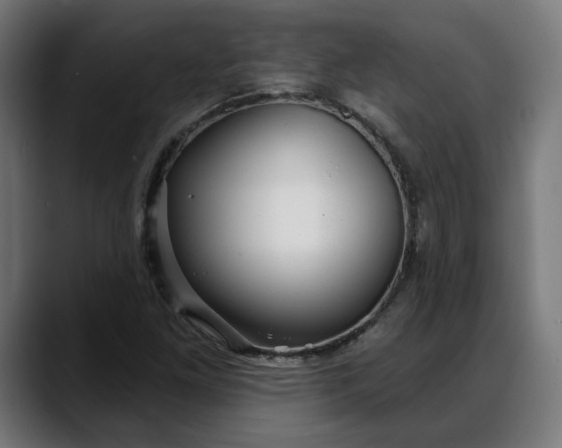 X0000088041261200705251255