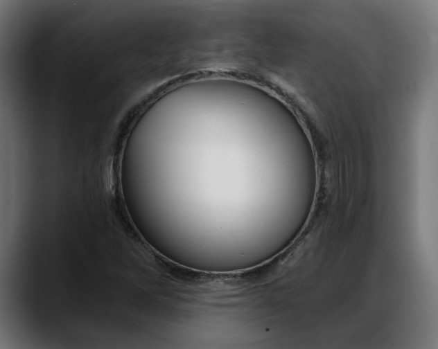X0000088041262200705251255