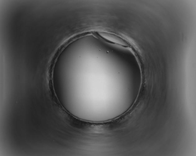 X0000088041264200705251254
