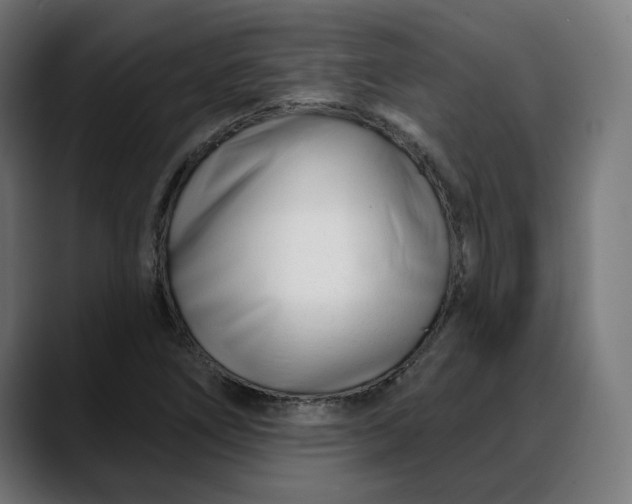 X0000088041266200705251254