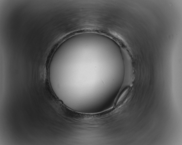 X0000088041267200705251254