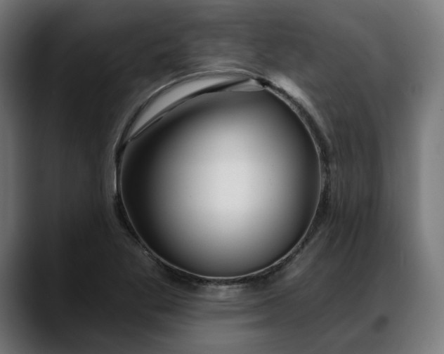 X0000088041269200705251254