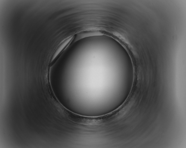 X0000088041273200705251254