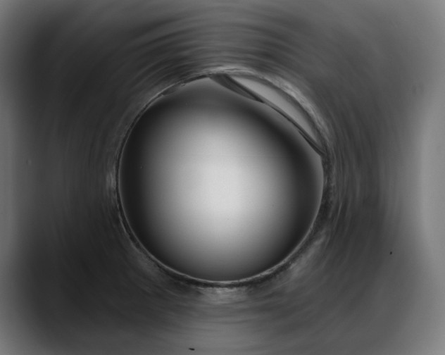 X0000088041281200705251254