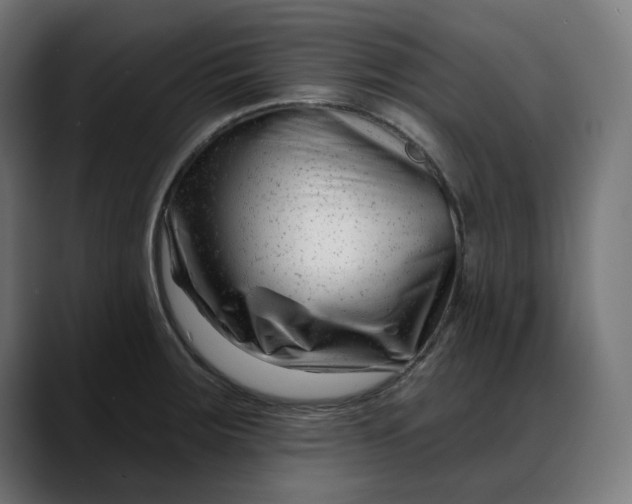 X0000088041283200705251254