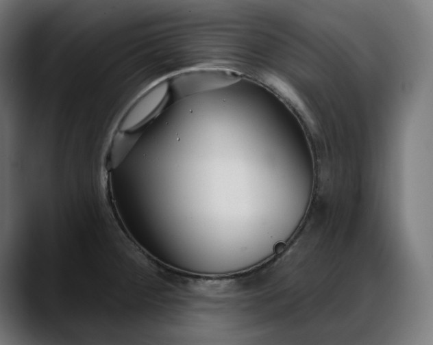 X0000088041284200705251254