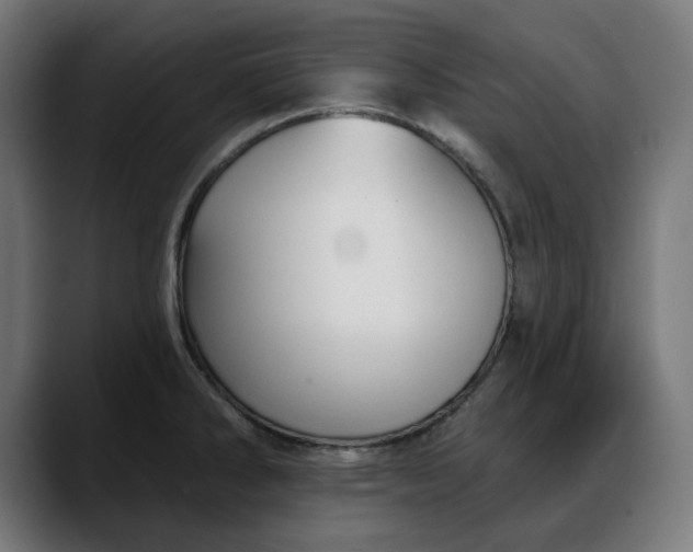 X0000088041286200705251254