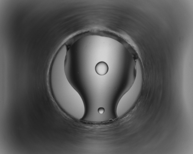 X0000088041287200705251254