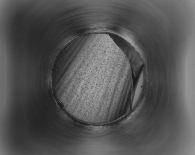 X0000088041289200705251254