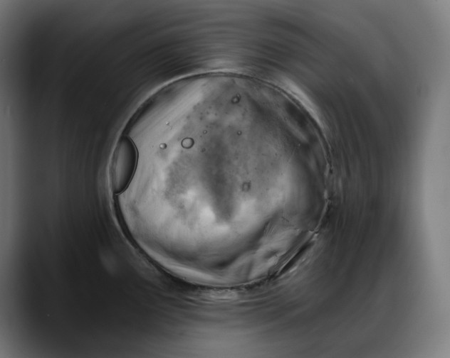 X0000088041291200705251254
