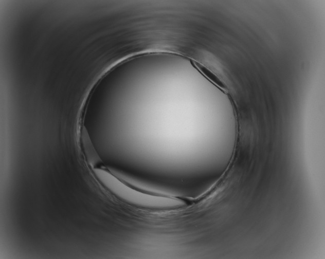 X0000088041292200705251254