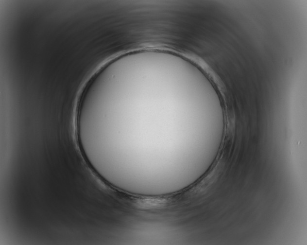 X0000088041294200705251254