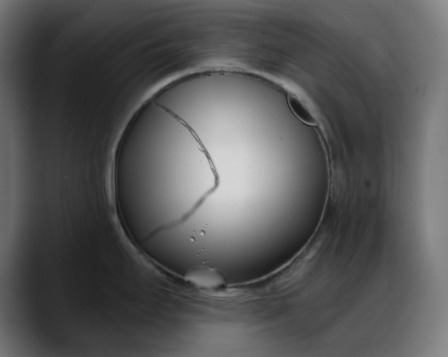 X0000088041295200705251254