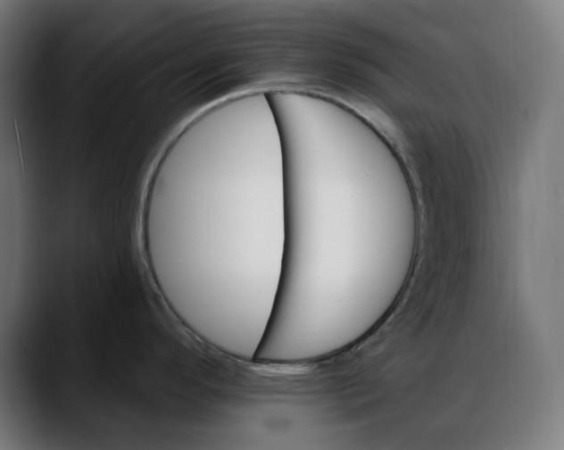X0000088041296200705251254