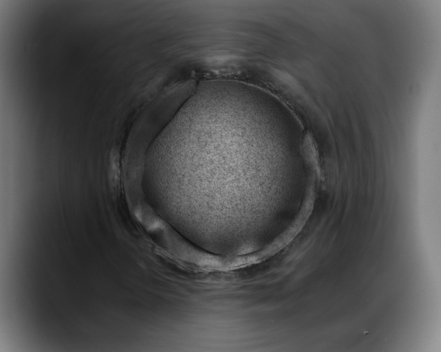 X0000088041298200705251253