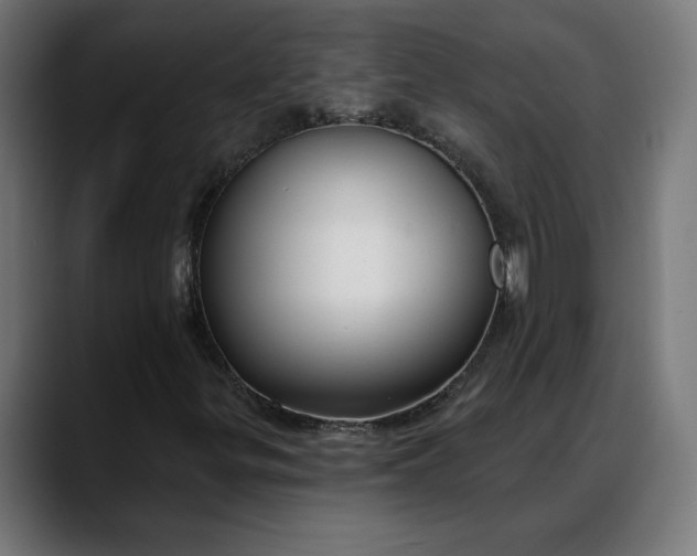 X0000088041299200705251253