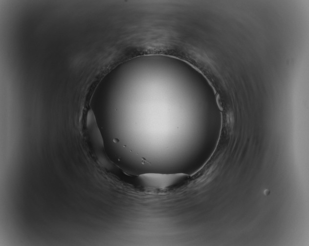 X0000088041300200705251253