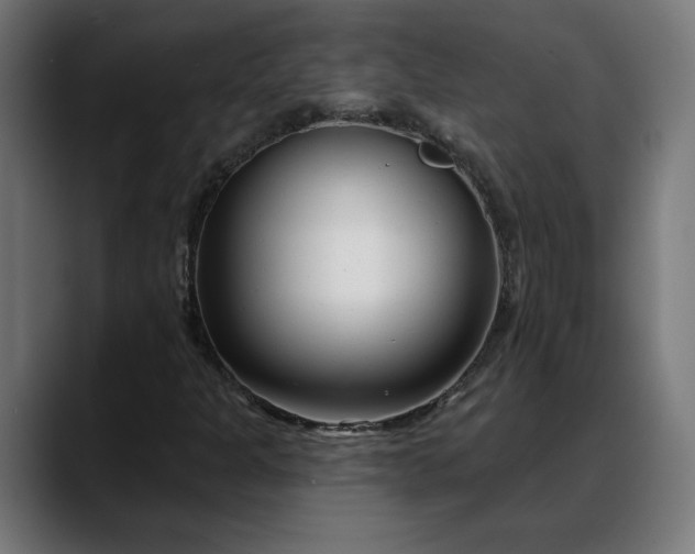 X0000088041301200705251253