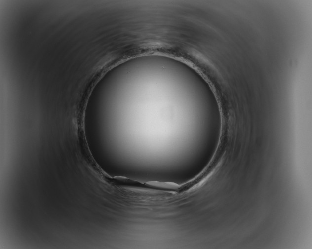 X0000088041305200705251253