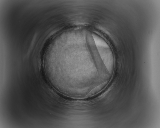 X0000088041306200705251253