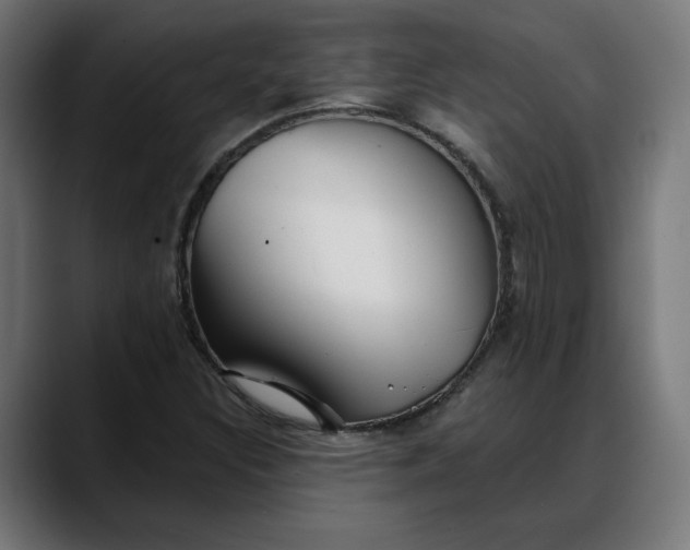X0000088041308200705251253