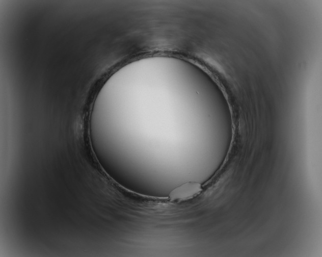 X0000088041309200705251253