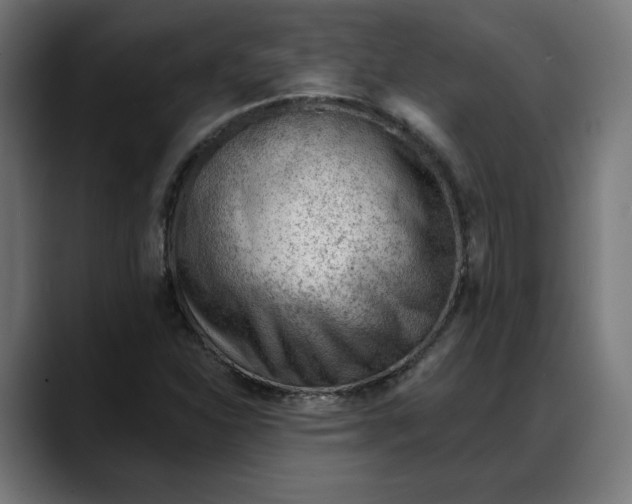 X0000088041310200705251253