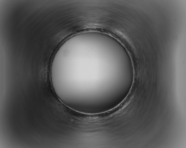X0000088041313200705251253