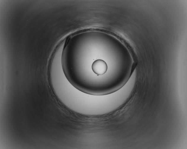 X0000088041316200705251254