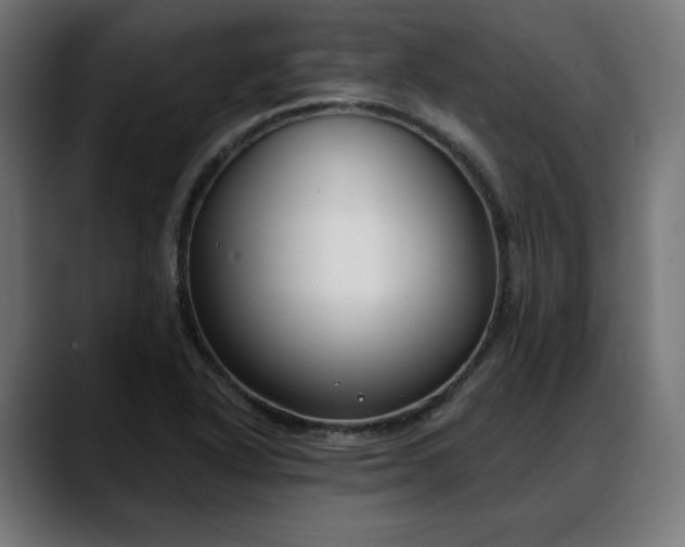 X0000088041318200705251254