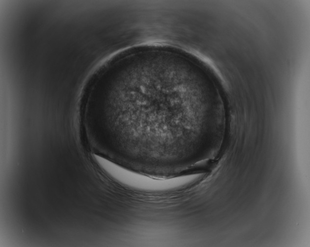X0000088041319200705251254