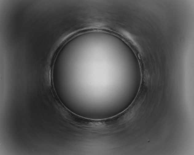 X0000088041320200705251254