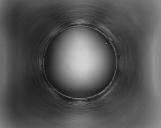 X0000088041321200705251254
