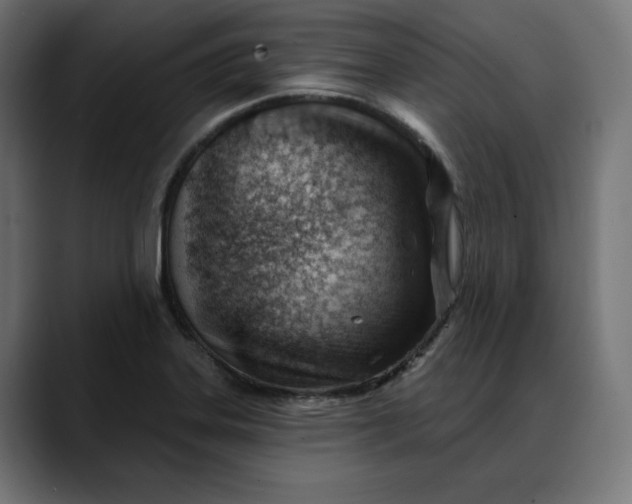 X0000088041323200705251254
