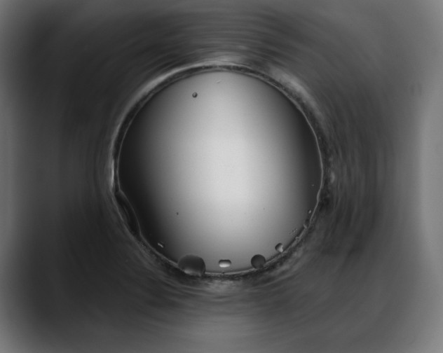 X0000088041324200705251254