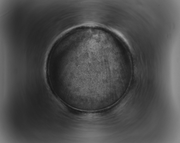 X0000088041327200705251254