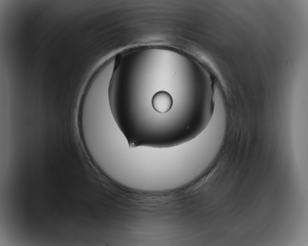 X0000088041328200705251254