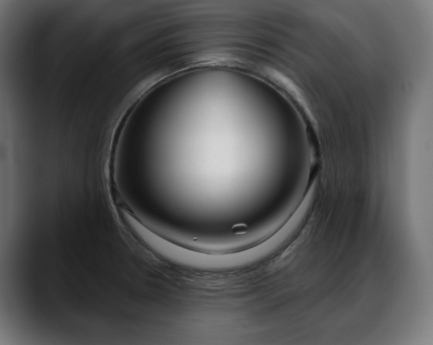 X0000088041330200705251254