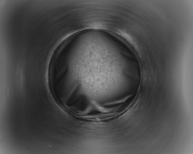 X0000088041331200705251254
