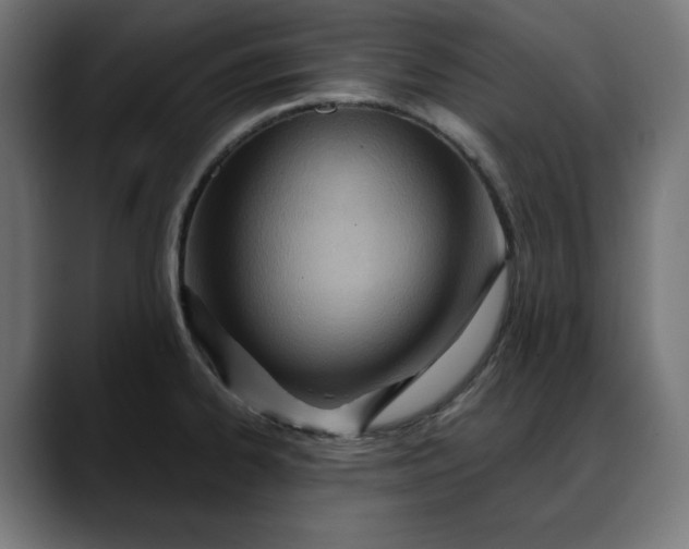 X0000088041334200705251254