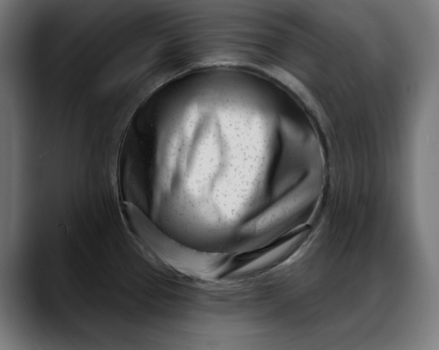X0000088041337200705251254